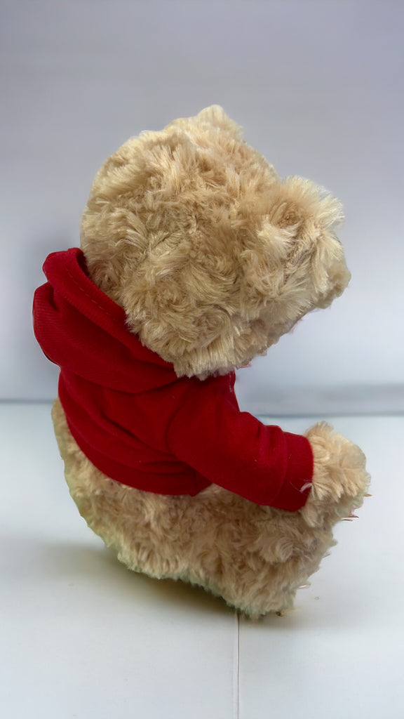 Timmy Teddy in a hooded jumper.